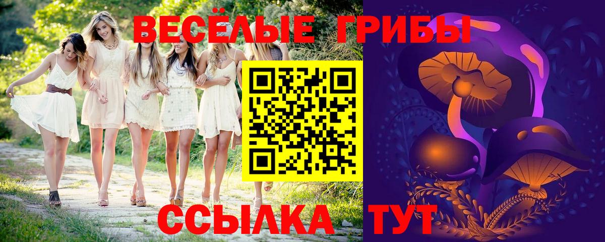 Галлюциногенные грибы Cubensis Лабытнанги